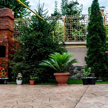 Готель Casa Cattleya Тиргу-Жіу Екстер'єр фото