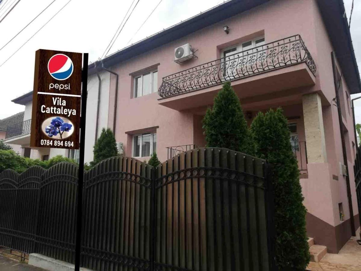 Готель Casa Cattleya Тиргу-Жіу Екстер'єр фото